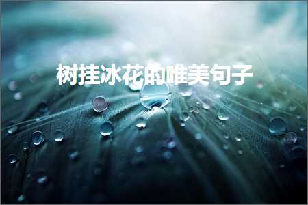 鏍戞寕鍐拌姳鐨勫敮缇庡彞瀛愶紙鏂囨592鏉★級